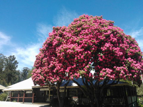 Crossways Country Inn - Kempsey Accommodation 0