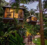 Daintree Ecolodge - Kempsey Accommodation