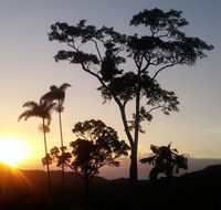 Daintree Holiday Homes - Yurara - Kempsey Accommodation