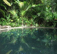 Daintree Rainforest Retreat Motel - Kempsey Accommodation