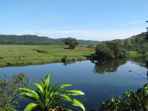 Daintree Riverview Lodges - Kempsey Accommodation 0