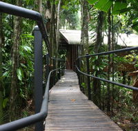 Daintree Wilderness Lodge - Kempsey Accommodation