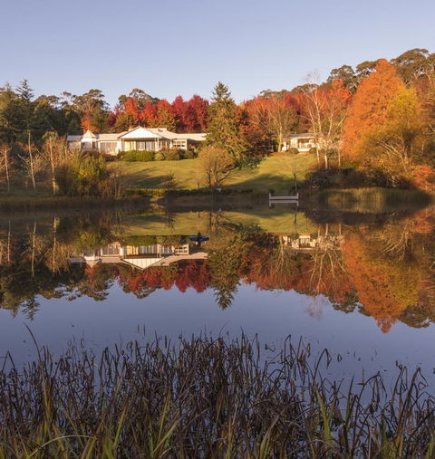 Dantosa Blue Mountains Retreat - Kempsey Accommodation 3