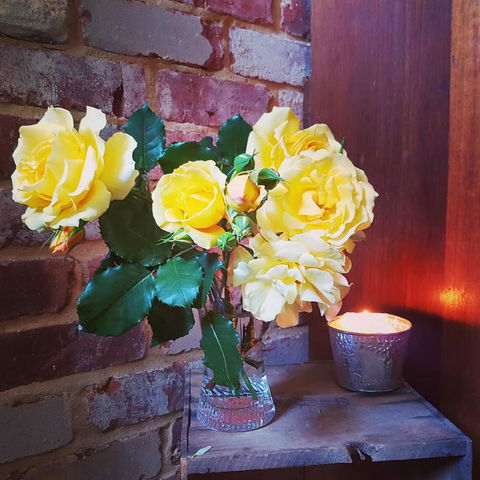 Darlington House - Kempsey Accommodation 3