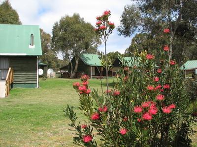 Derwent Bridge Chalets & Studios - Kempsey Accommodation 1