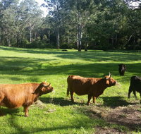 Dingley Dell - Kempsey Accommodation