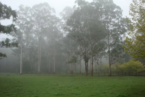 Dingley Dell - Kempsey Accommodation 2