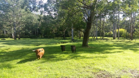 Dingley Dell - Kempsey Accommodation 3