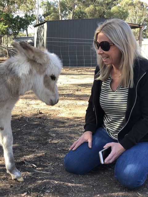 Donkey Tales Farm Cottages - Kempsey Accommodation 1