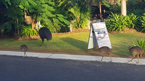 Driftwood Bed And Breakfast - Kempsey Accommodation 1