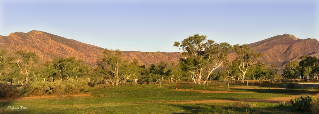 Flinders Ranges SA Kempsey Accommodation