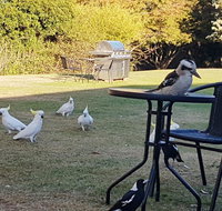 Eildon Parkview Motor Inn - Kempsey Accommodation