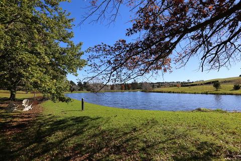Eling Forest Winery - Kempsey Accommodation 1