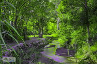 Book Esk Accommodation Vacations Kempsey Accommodation Kempsey Accommodation