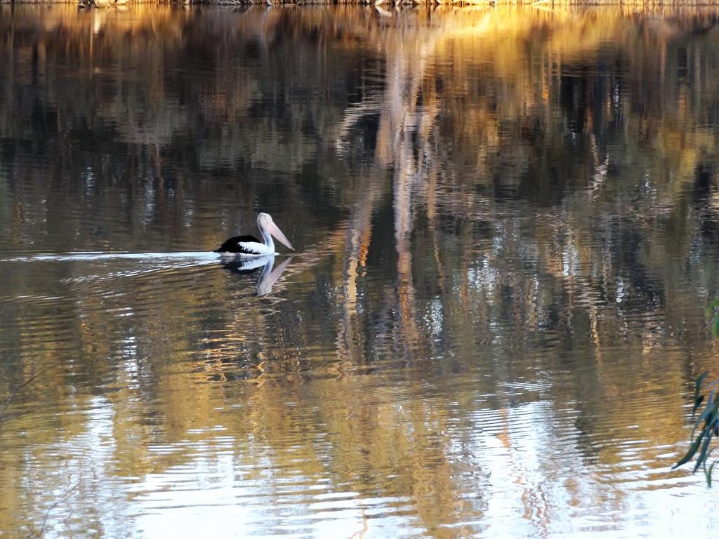 Euston NSW Kempsey Accommodation
