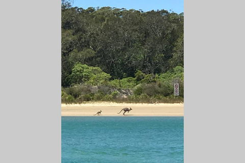 FAIRVIEW COTTAGE 25B - Waterfront Accommodation - Kempsey Accommodation 0