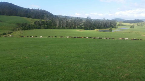 Farm Golf - Kempsey Accommodation 2