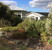 Forrest Willy Wagtail Studio - Kempsey Accommodation