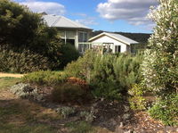 Forrest Willy Wagtail Studio