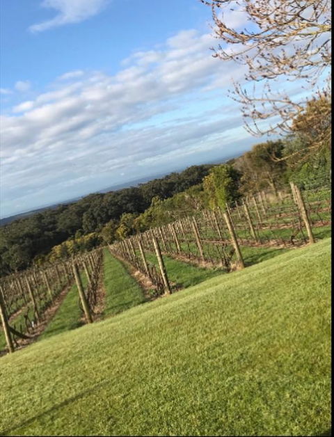 Frogs Pond - Kempsey Accommodation 3