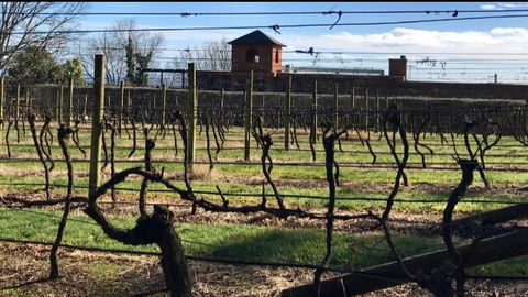 Frogs Pond - Kempsey Accommodation 1