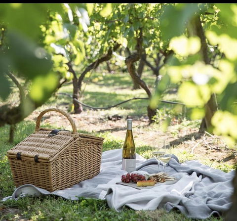 Frogs Pond - Kempsey Accommodation 2