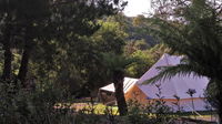 Book Zeehan Accommodation Vacations Kempsey Accommodation Kempsey Accommodation