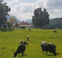 Glenmurray - Country farm stay - Kempsey Accommodation
