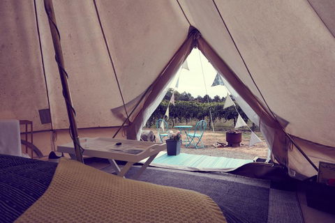Grapevine Glamping - Kempsey Accommodation 3