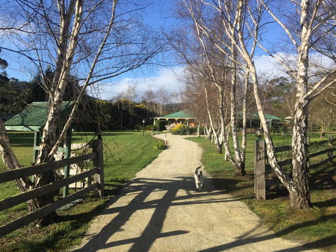 Green Gables B&B - Kempsey Accommodation 0
