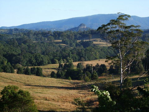 Grey Gum Lodge - Kempsey Accommodation 0