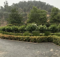 Guinevere - Kempsey Accommodation