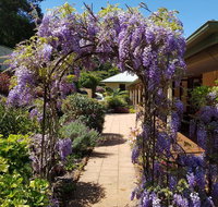 Gumtree House Montville - Kempsey Accommodation