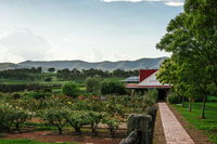 Book Pokolbin Accommodation Vacations Kempsey Accommodation Kempsey Accommodation