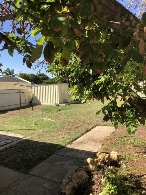 Happy Hours - Kempsey Accommodation 3