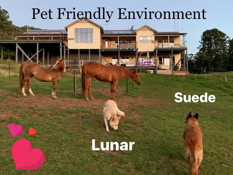 Heavenly Retreat B&B - Kempsey Accommodation 1