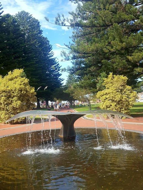 Hi 5 Luxury Holiday Apartments - Kempsey Accommodation 3