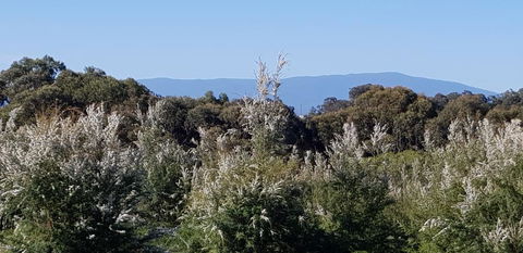 Hideaway Valley Farm - Kempsey Accommodation 1