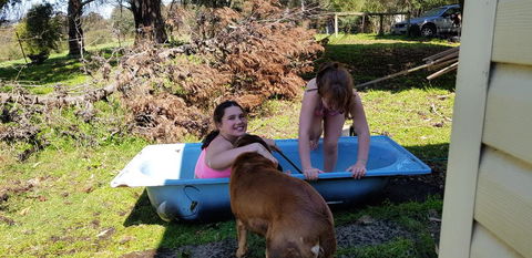 Hideaway Valley Farm - Kempsey Accommodation 3