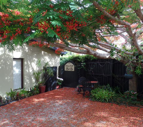 Hilltop B&B - Kempsey Accommodation 2