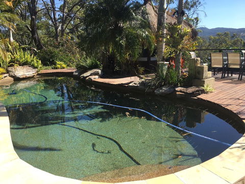 Hinterland Hideaway - Kempsey Accommodation 3