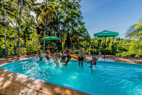 Jackaroo Treehouse Mission Beach - Kempsey Accommodation 1