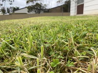 Book Karoonda Accommodation Vacations Kempsey Accommodation Kempsey Accommodation