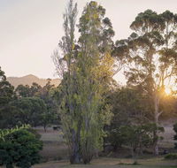 Karribank and the Karri On Bar - Kempsey Accommodation