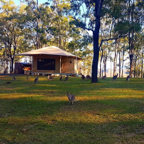 Ketchup's Bank Glamping - Kempsey Accommodation 3