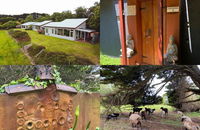Book Kongwak Accommodation Vacations Kempsey Accommodation Kempsey Accommodation