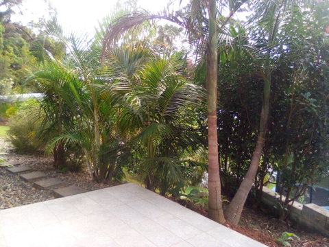 Korora Guest House - Kempsey Accommodation 2