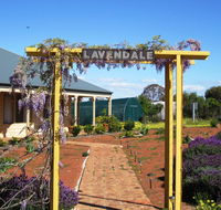 Lavendale Farmstay and Cottages York - Kempsey Accommodation