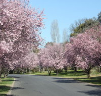 Leo's Rest Bathurst NSW - Kempsey Accommodation