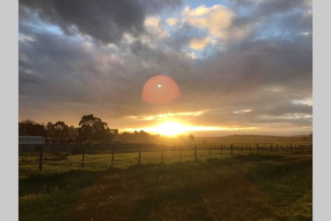 Lucys Artist Cottage - Kempsey Accommodation 3